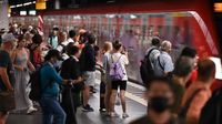 ÖPNV-Chaos in Rhein-Main: Deutsche Bahn entschuldigt sich – Flughafen Frankfurt auch betroffen