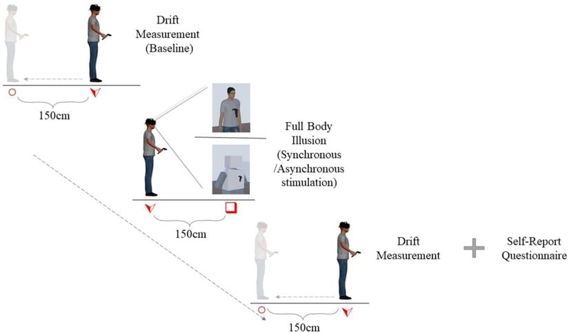İlk aşamada katılımcıların bulundukları konum ile kendilerinin bulunduklarını düşündükleri konum arasındaki farklılık ölçüldü. Sonrasında katılımcılara tam-vücut illüzyon deneyi uygulandı. Bu deneyden sonra da pozisyon kayması tekrar ölçüldü ve deneyin tamamı bittikten sonra katılımcılara bir anket uygulandı.