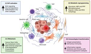 Distinct Patterns Of Immune Cell Infusion Shape PDAC Prognosis