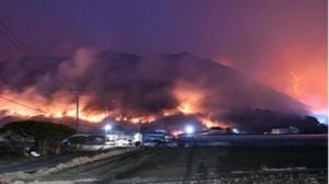 Devastating Forest Fires Rage Across South Korea's Regions