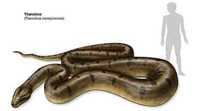 Yeryüzünde Sürünmüş En Büyük Yılan: Titanoboa