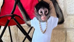 Texas Influencer Faces Backlash Over Spider Monkey Care