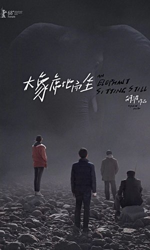 An Elephant Sitting Still