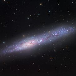 Irregular Galaxy NGC 55