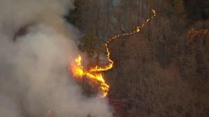 Brush Fire Contained On South Mountain After Quick Response