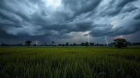 Bihar Weather Today: बिहार में आने वाले दिनों में मौसम और बिगड़ेगा, जानिए इस बदलाव के पीछे की असली वजह