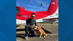 Animal Rescue Pilot Dies While Transporting Dogs