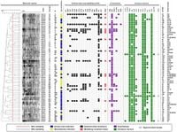 High proportions of multidrug-resistant Klebsiella pneumoniae isolates in community-acquired infections, Brazil - Scientific Reports