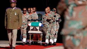 South African Peacekeepers' Death Toll Rises Amid DRC Clashes