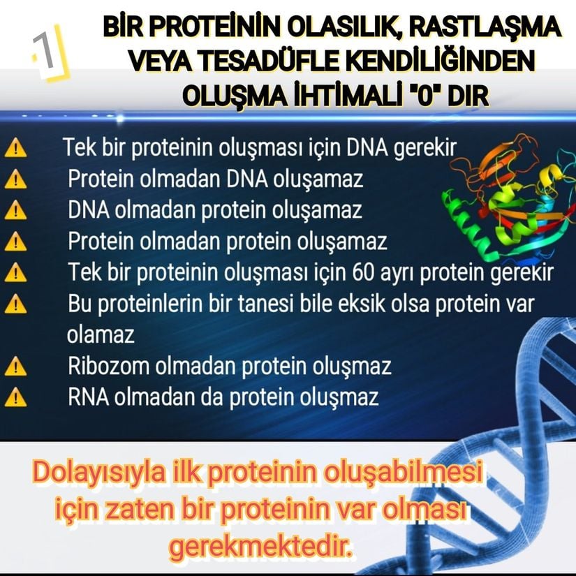 Yaratılışçı propagandaya bir örnek...