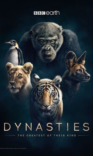 Dynasties