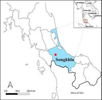 Molecular prevalence of Coxiella like endosymbionts and the first record of Coxiella burnetii in hard ticks from Southern Thailand - Scientific Reports