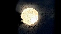 December's 'Cold Moon' rises: See breathtaking images of the final full moon of 2025