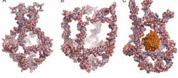 Vücut İçinde İlaçları Taşımak İçin: Nanorobotlar