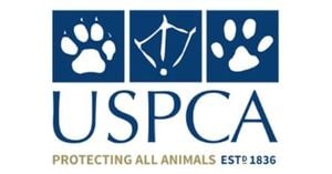 BBC Investigation Uncovers Europe’s Secret Dog Fighting Ring