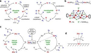 Revolutionary Barium Hydride Catalysts Enhance Deuteration Efficiency