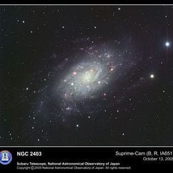 Spiral Galaxy NGC 2403 from Subaru