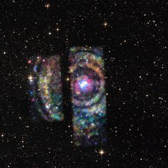  X-ray Echoes from Circinus X-1