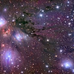 Stars, Dust and Nebula in NGC 2170