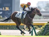 【NHKマイルC予想】前走で大舞台を経験している馬が主役!? ニュージーランドT組の取り扱いには要注意（netkeiba） - Yahoo!ニュース