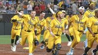 Savannah Bananas bring their unique brand of baseball to Charlotte. Here are our best photos