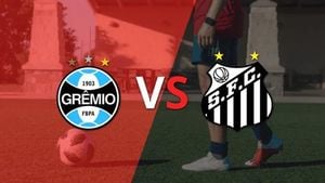 Grêmio And Santos Battle To A Draw In Brasileirão Clash