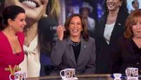 Mea Culpa for Sinking Campaign? The View to Host Kamala’s Book Tour as an Act of Penance - National Right to Life