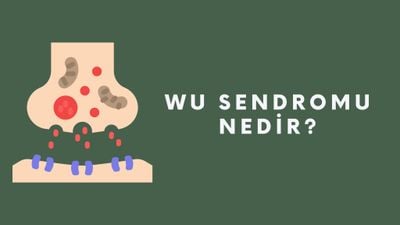 Wu Sendromu Nedir? En Nadir Hastalıklardan Biri Olan X'e Bağlı Zihinsel Gelişim Bozukluğu Tedavi Edilebilir mi?