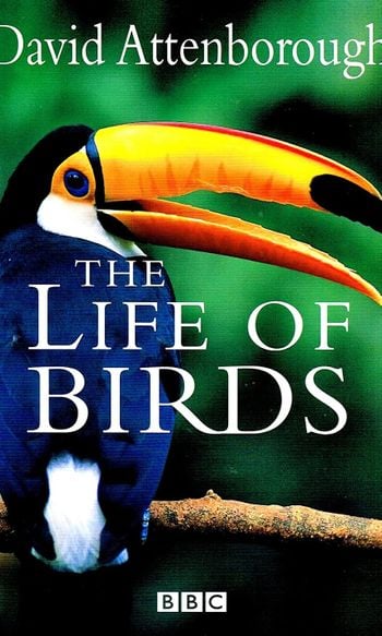 The Life of Birds