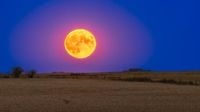 How to spot July's low-rise 'Buck Moon', the farthest full moon from the sun in 2025