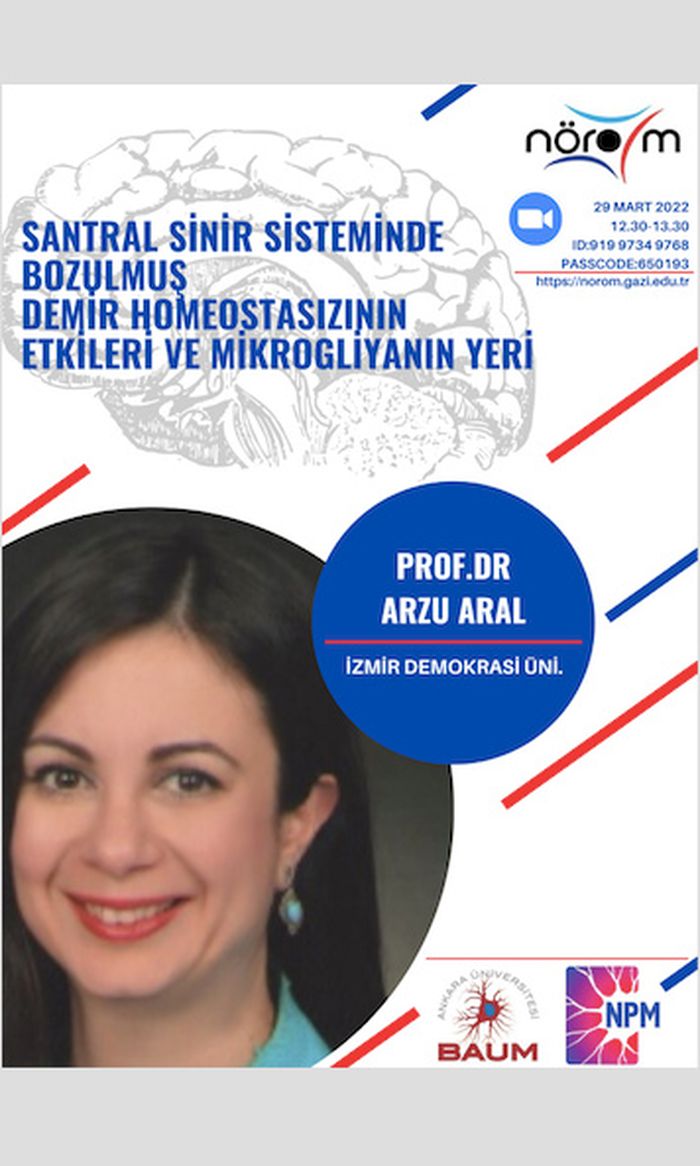 Nörom Seminerleri