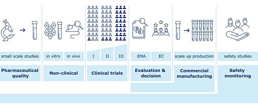 Aşı üretim aşamaları özet şema