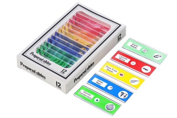 Levenhuk Rainbow DM500 LCD Dijital Mikroskop