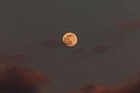 What to expect from January's Supermoon 2026