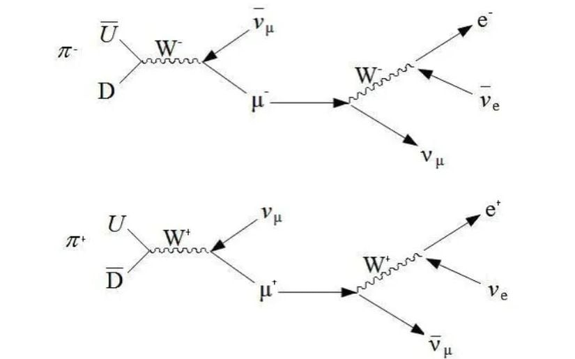 Pozitif ve negatif yüklü pionların bozunmaları iki aşamada gerçekleşir. Öncelikle kuark/antikuark kombinasyonu aralarında bir W bozonunu değiş tokuş eder, bu da bir müon (ya da antimüon) ve bir mü-nötrino (ya da antinötrino) meydana getirir. Ardından müon (ya da antimüon) tekrar W bozonuna bozunur ve sonunda bir nötrino, bir antinötrino ve ya bir elektron ya da bir pozitron meydana getirir. Bu nötrinoları nötrino ışık yolu için hazırlamanın kilit aşamasıdır ve zayıf etkileşim aracılığıyla iki farklı bozunma gerektirir: Piondan müona ve müondan elektrona. W+ ve W- bozonları birbirlerinin antiparçacığıdır fakat Z bozonu kendinin antiparçacığıdır.