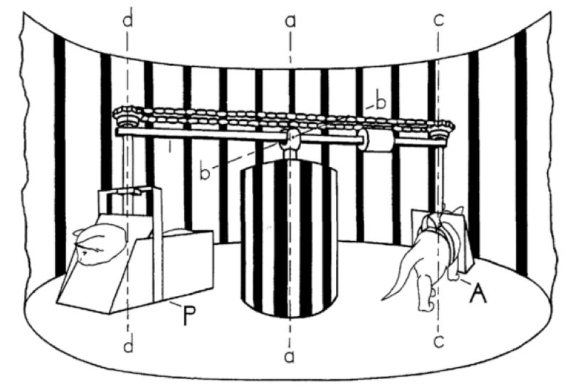 Deneyi anlatan bir çizim.