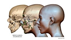 Adli Antropoloji, Adli Yüz Kimliklendirme, Paleo Rekonstrüksiyon ve Biyolojik Heykeltıraşlık
