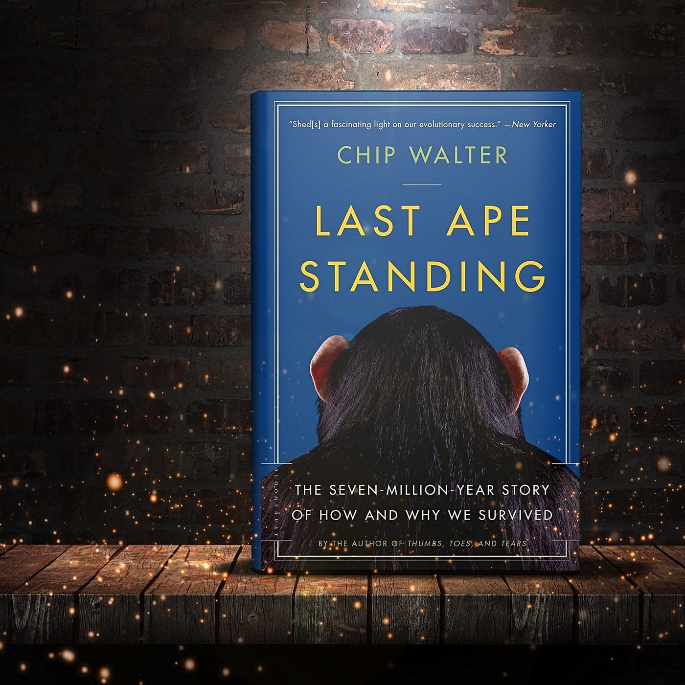 Evrim Ağacı ile Bilime Dair Her Şey!