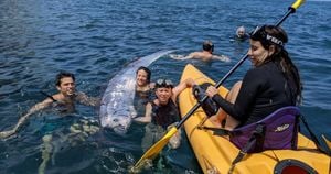 Oarfish Appearances Spark Speculations Along California Beaches