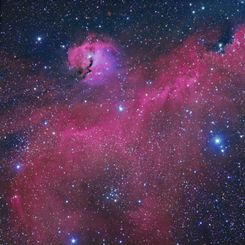 The Seagull Nebula