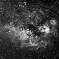 Cygnus Nebulosities