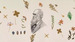 BİTKİLER: EVRİM TEORİSİNİN CANLI TANIKLARI- DARWİN'İN GİZLİ DOSTLARI