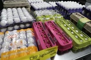 Egg Seizures Outpace Fentanyl As Prices Soar Amid Crisis