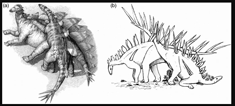 stegosaurus çiftleşme pozisyonu