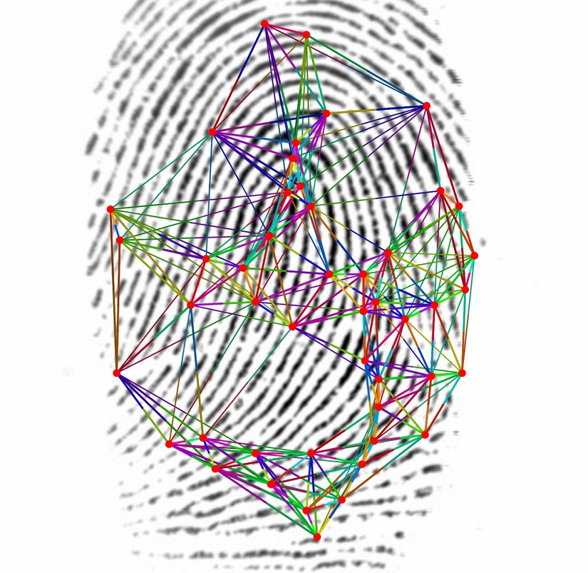 Benzer kenarlara sahip parmak izi işaretleyicileri (minutiae), benzer renklerle işaretlenmiştir.