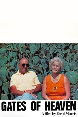 Cennetin Kapısı