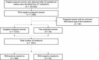 Perinatal outcomes in RhD-negative pregnant women in Japan - Scientific Reports