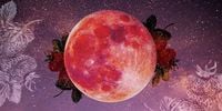 Every star sign's horoscope: What June’s Strawberry Full Moon in Sagittarius will mean for your life