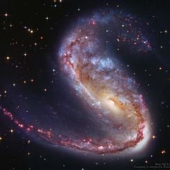 NGC 2442: Volans’ta Galaksi