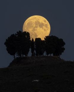 Toskana Üzerinde Bir Hasat Dolunayı